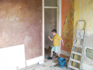 builders l;adder and wallpaper stripping for plastering