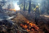 incendios forestales