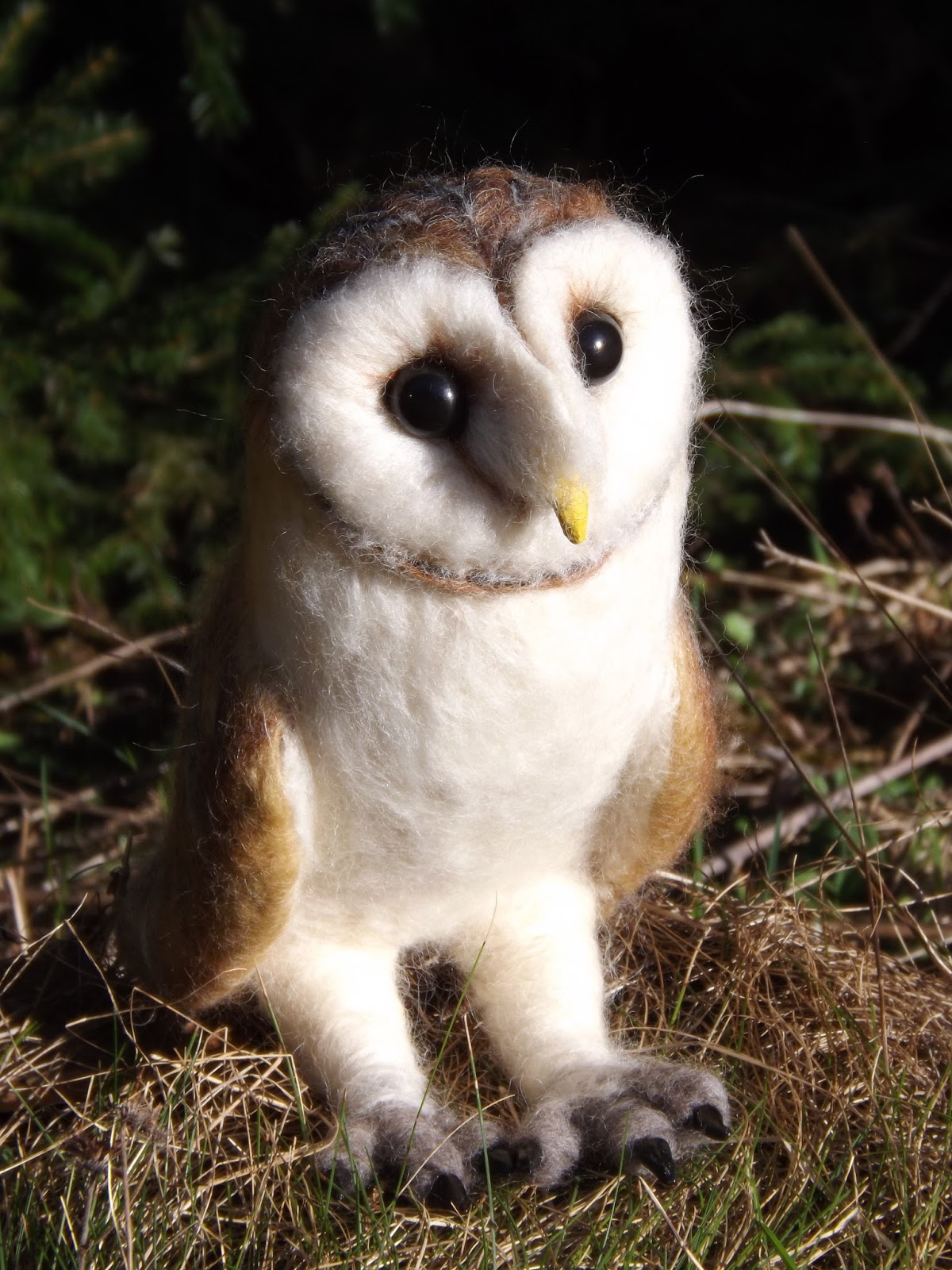 Wool Animals For Sale