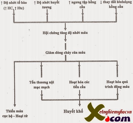 [Image: tang%2Bdo%2Bnhot%2Bmau.jpg]