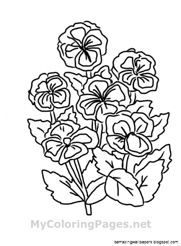 Flowers To Print And Color Flowers To Print And Color
