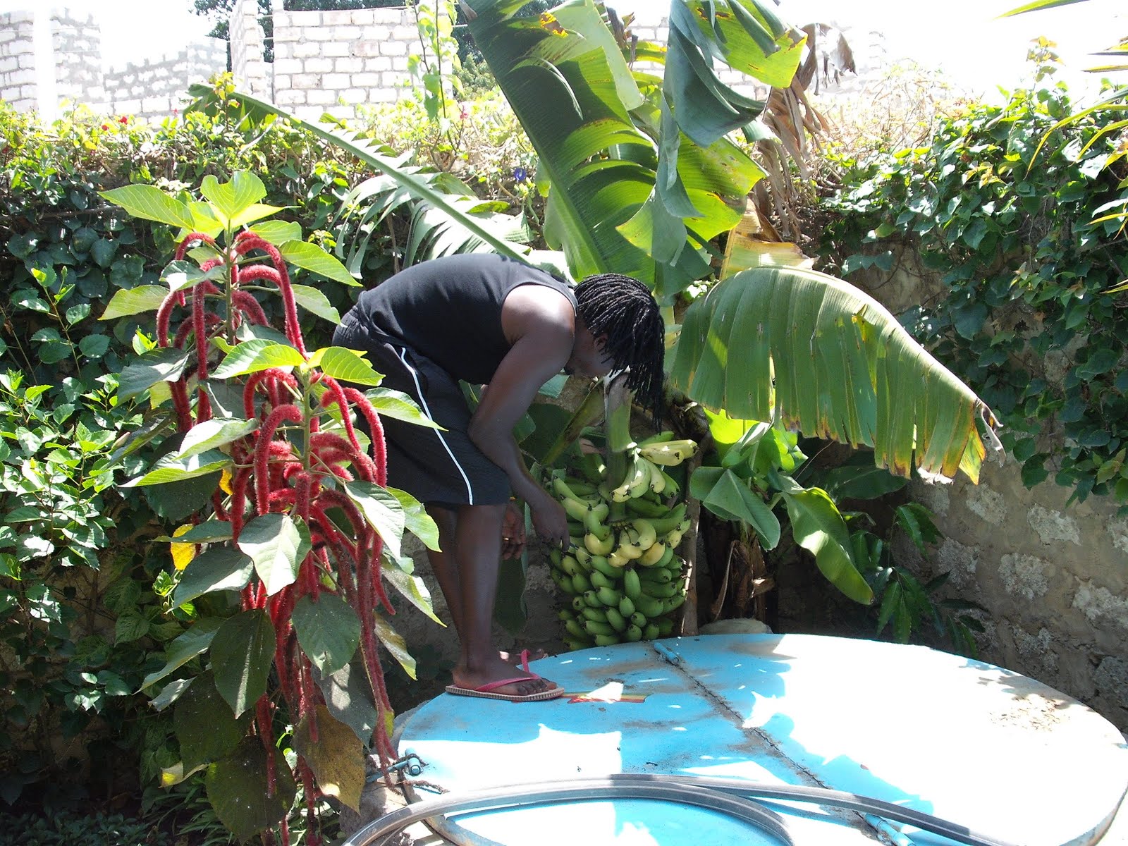 Apartment for Rent in Mtwapa, Kenya An Introduction to my Apartment