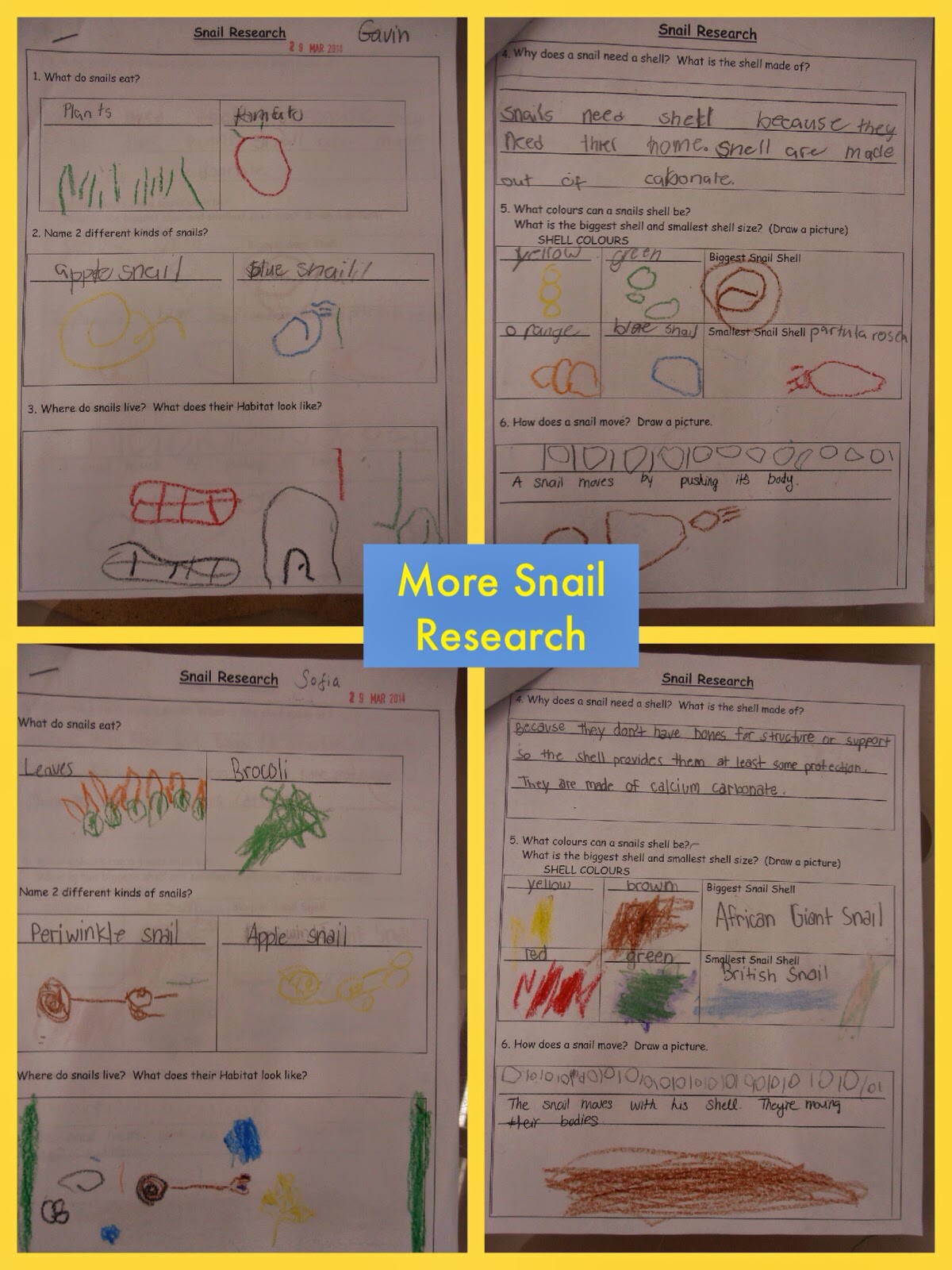 Kindergarten Korner SNAIL TRAILS