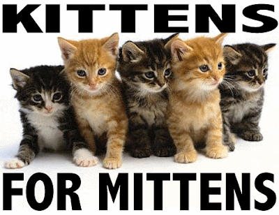 mittens for kittens