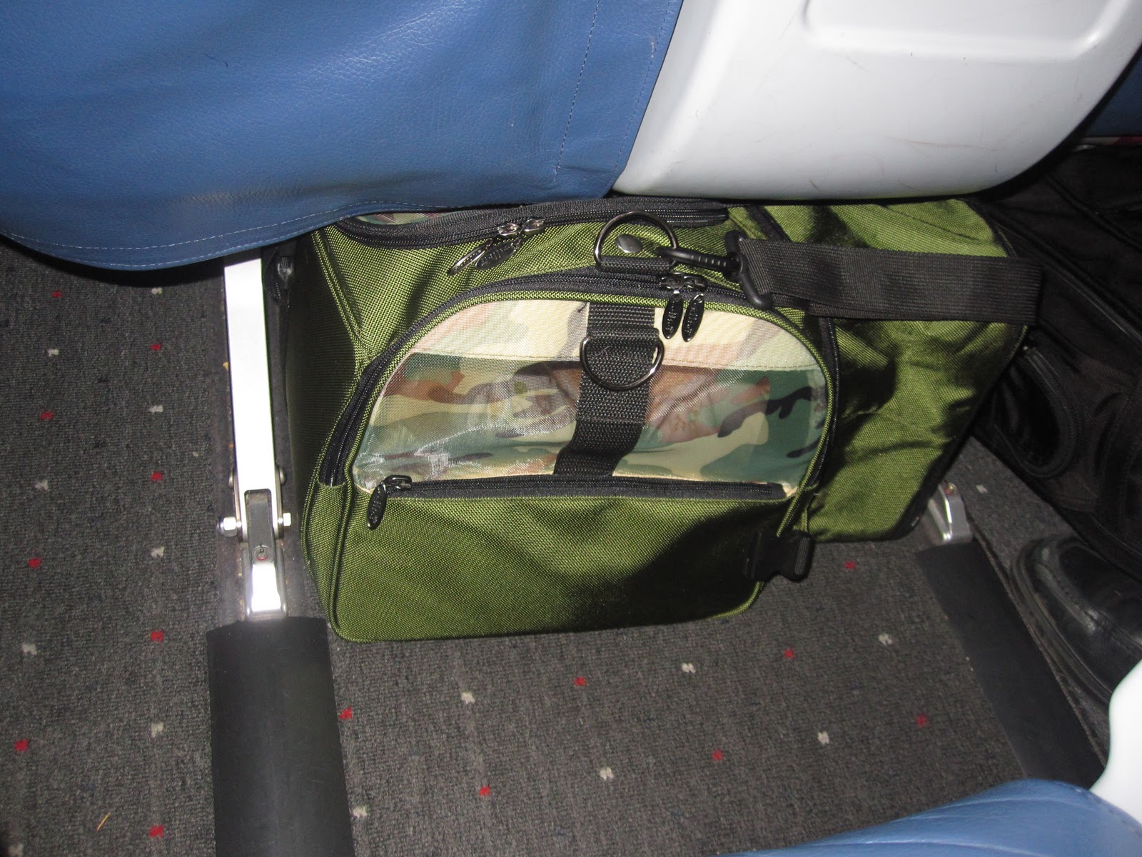 Tokyo My Shiba Inu Life Flying the Shiba Friendly Skies