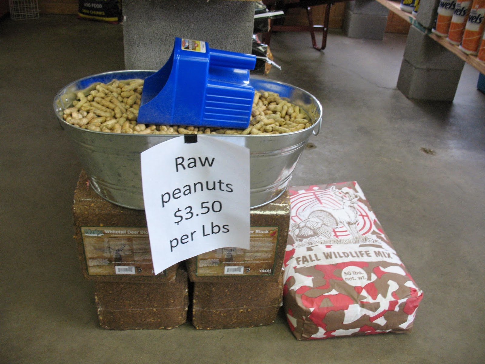 Sensible Survival Peanuts A Southern Survival Crop