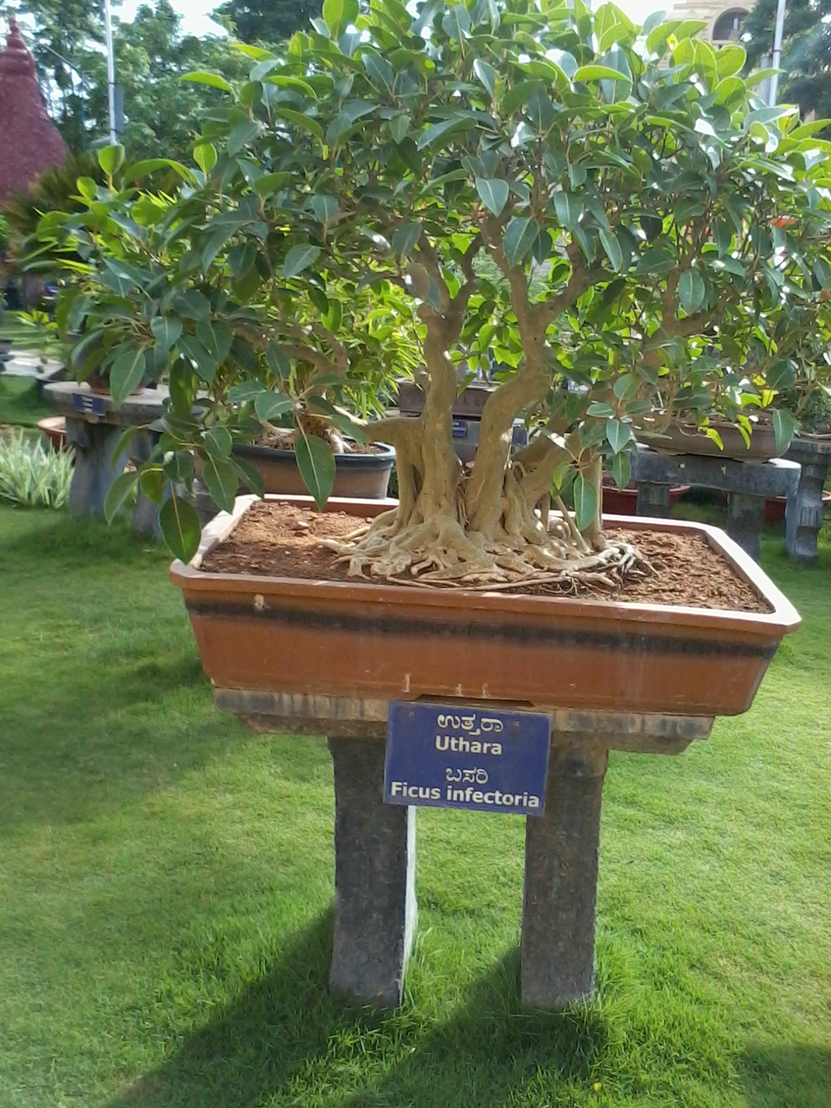 Mysore Avadhoota Datta Peetham Sri Ganapathi Sachchidananda Mysore