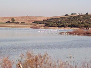 Laguna de Jeli