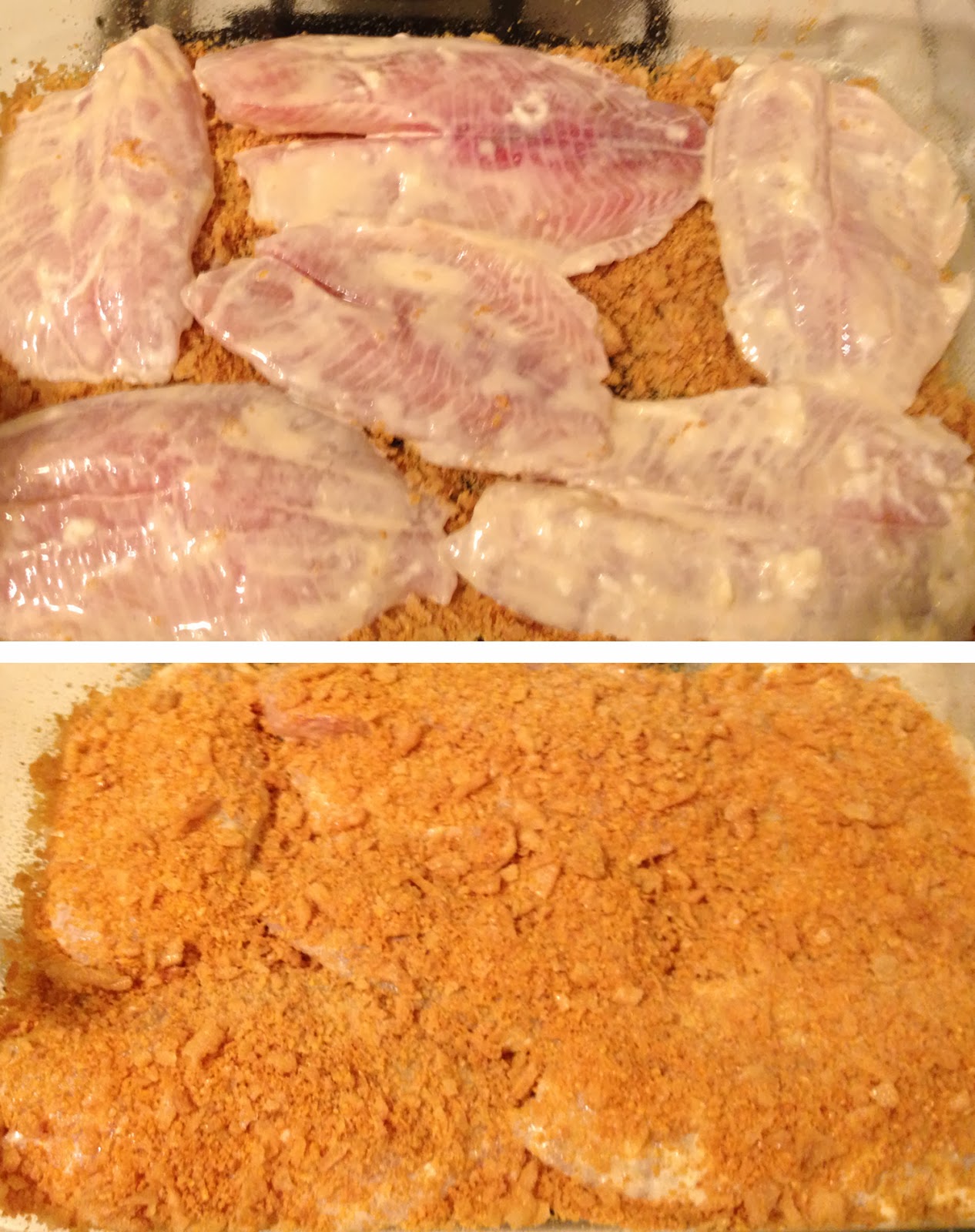 Mostly in Control Tilapia Even a Toddler Will Eat