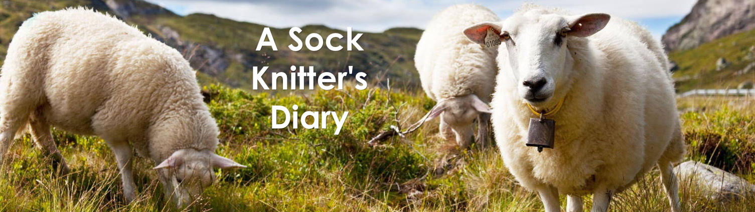 A Sock Knitter's Diary