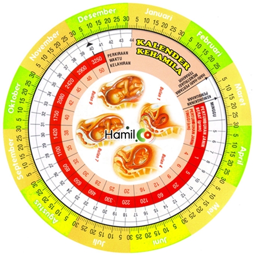 5 Cara Menghitung Usia Kehamilan dalam Minggu Laras Medica Magz