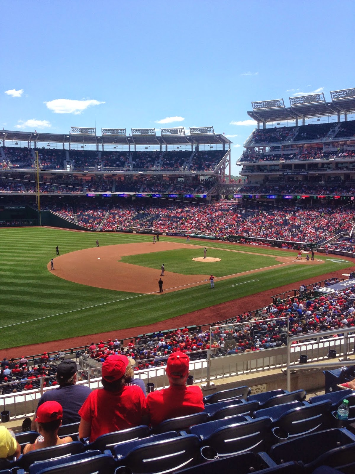 A Little Bolt of Life Charlotte