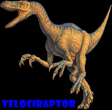 Velociraptor - Dinosaurus