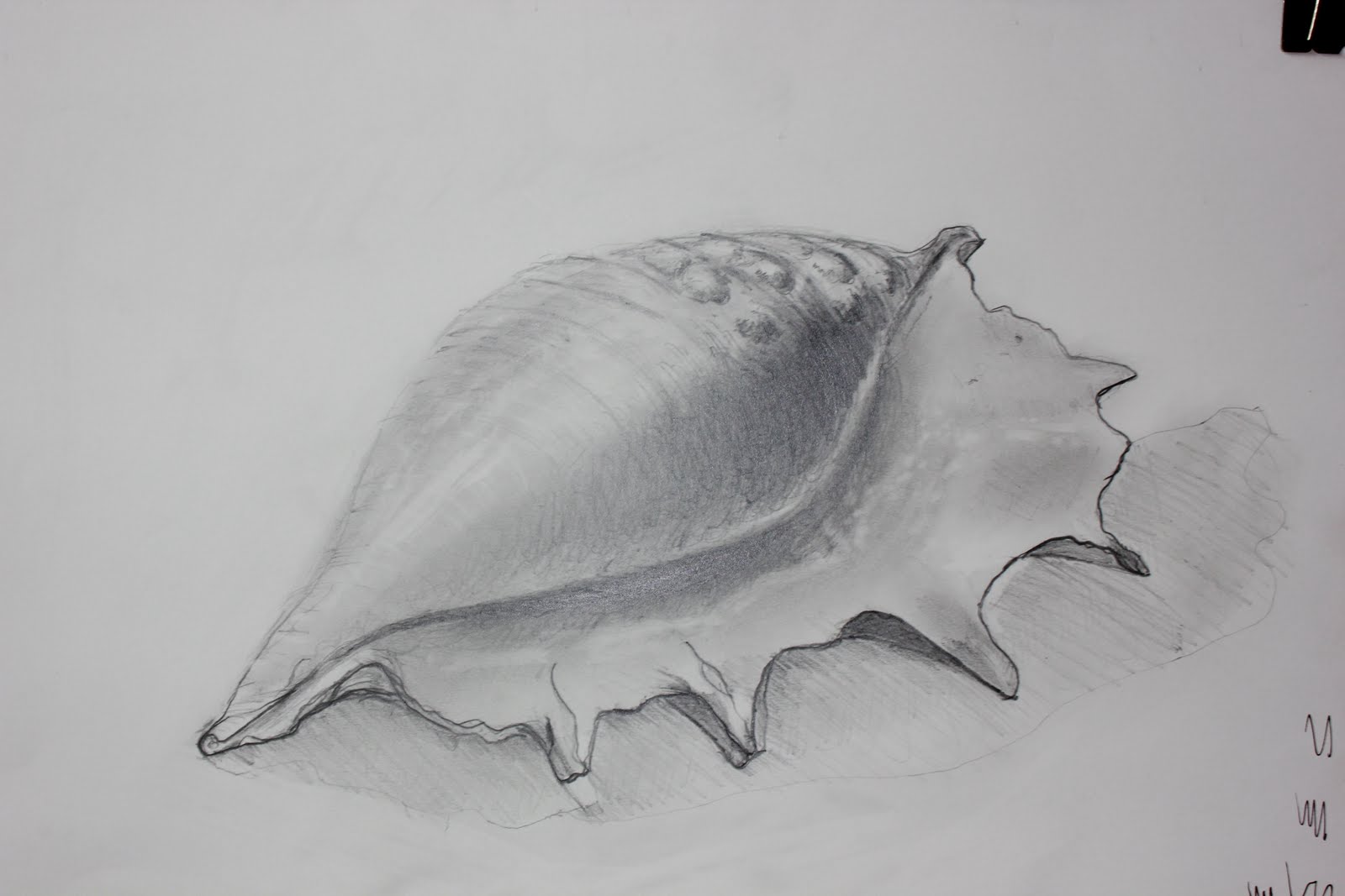 Sue F - Drawing Learning Log: Drawing - line, tone, and stipple- page 50