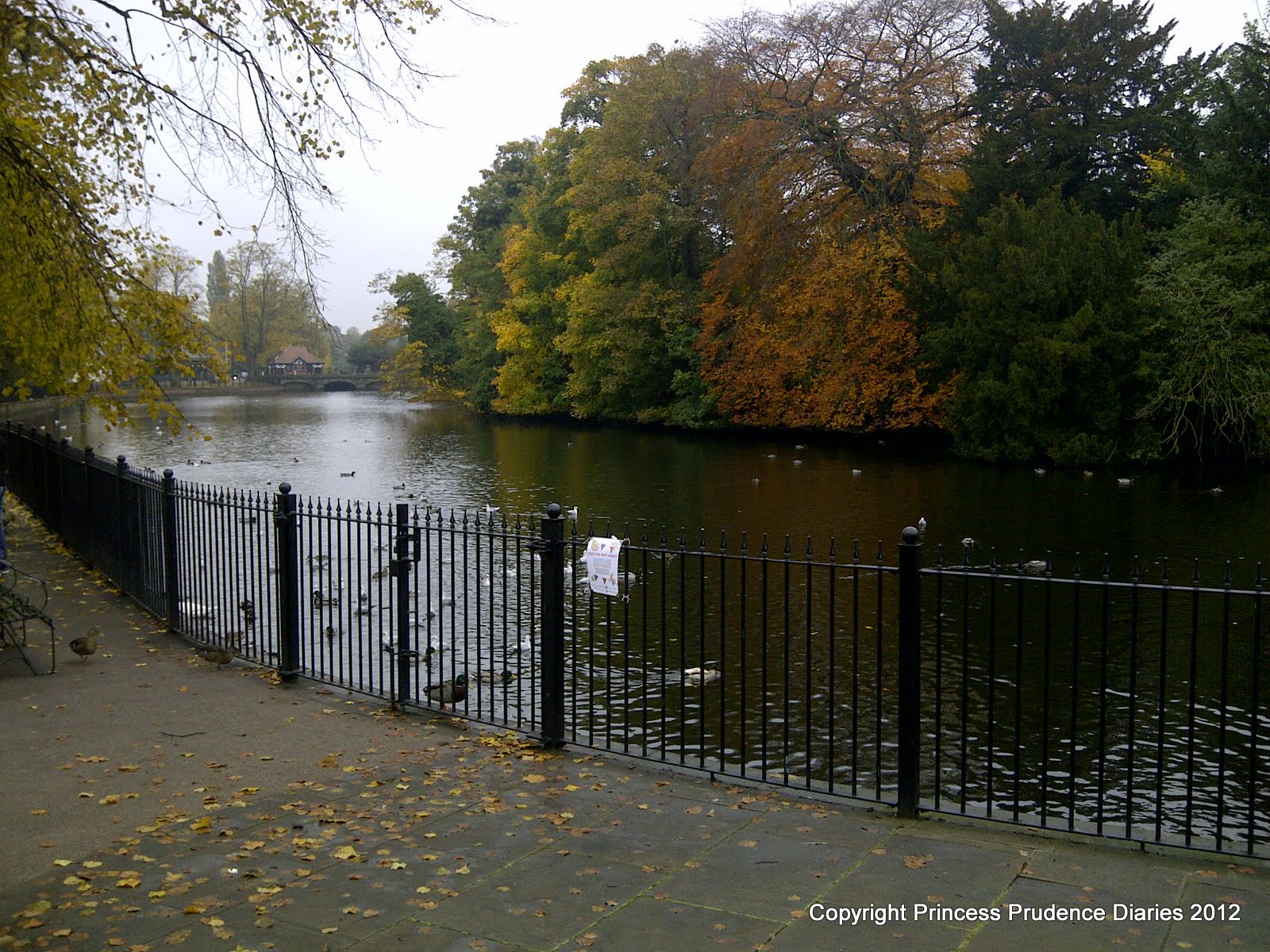 Lichfield Montana Monarch