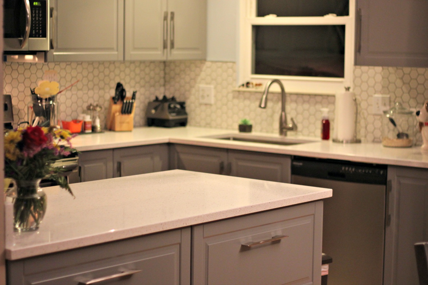 Total Basset Case Kitchen The Reveal