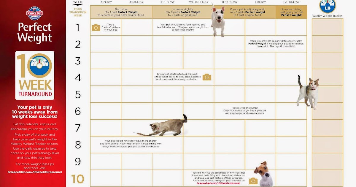 Paradigm InfoStream Hill's Pet Nutrition, Inc. Introduces a Weight
