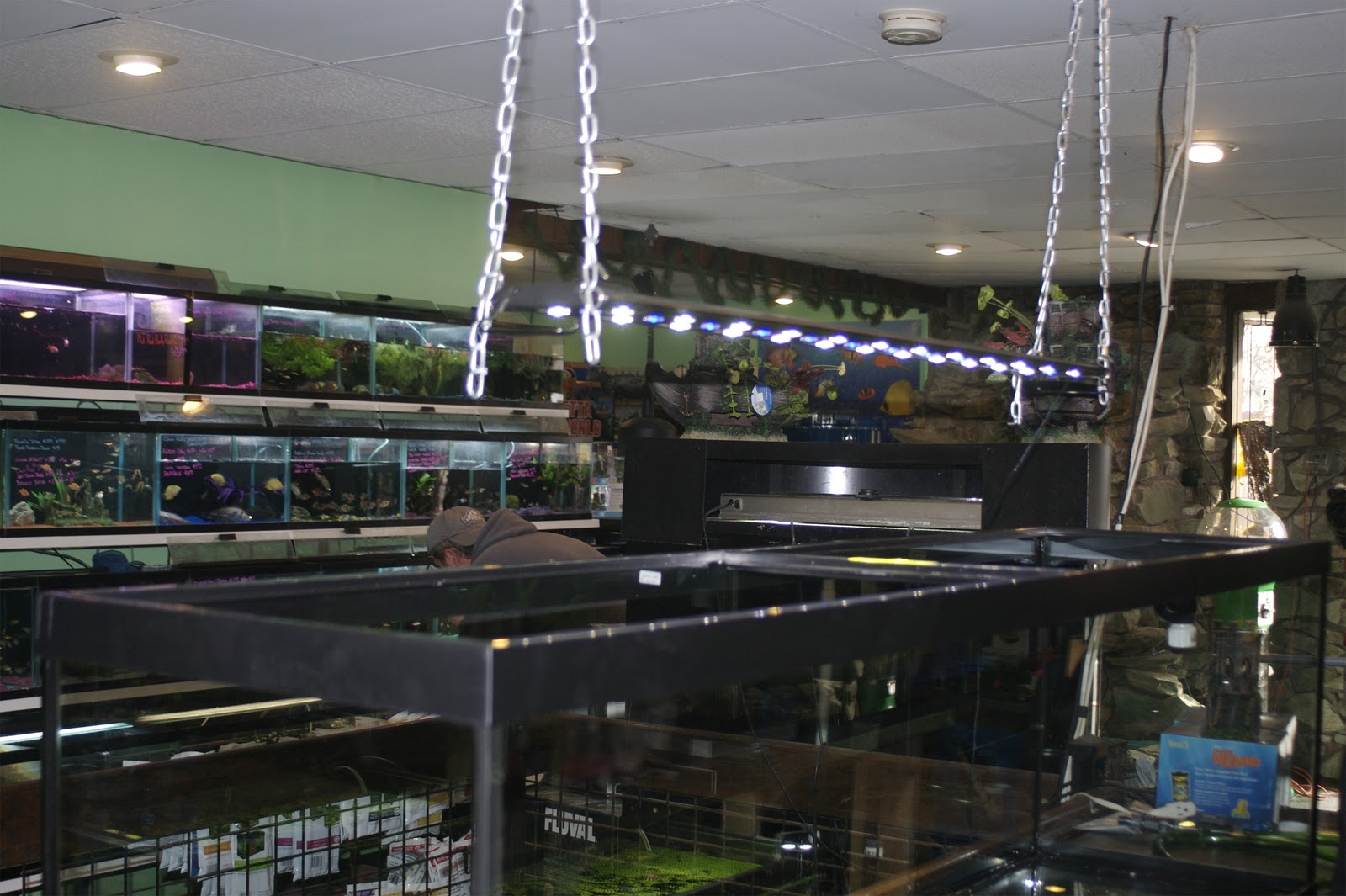 route 4 aquarium planted vivarium