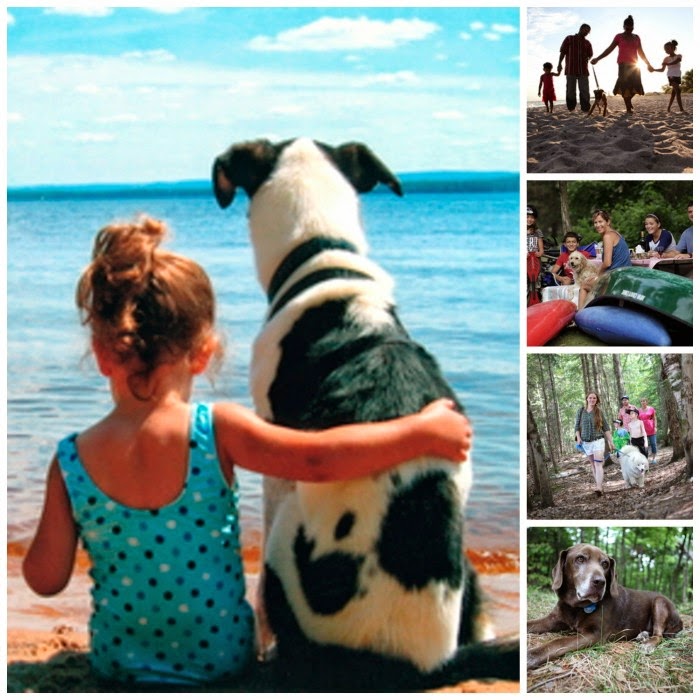 Dog Friendly Provincial Parks Jim Fox Dog Friendly Provincial Parks Jim Fox