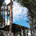 Beautiful Mirrored Tree House (Sweden)