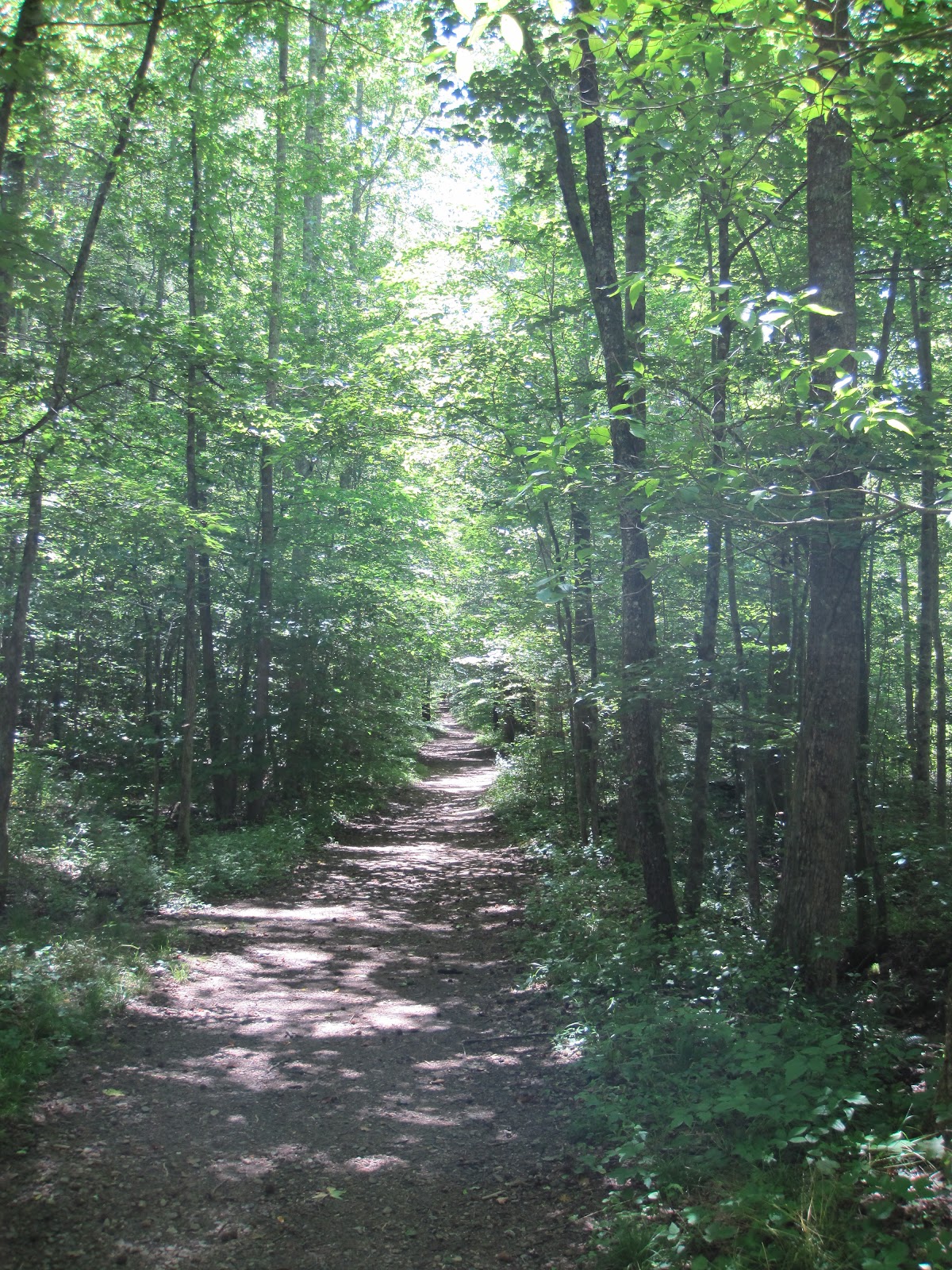 wasatch and beyond Frozen Head State Park
