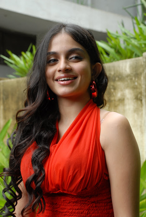 sheena shahabadi shoot red dress actress pics