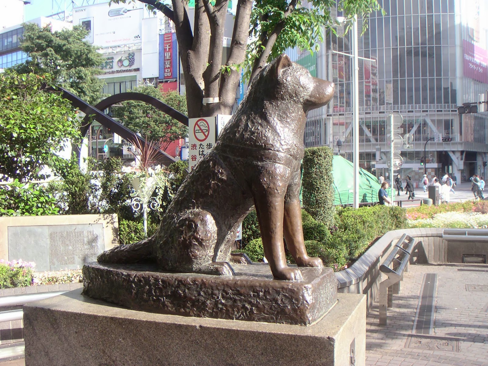 Story of a Famous dog in Japan Hachiko