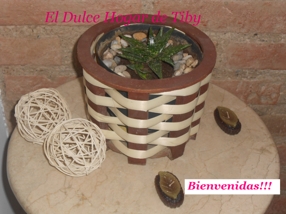 El Dulce Hogar de Tiby