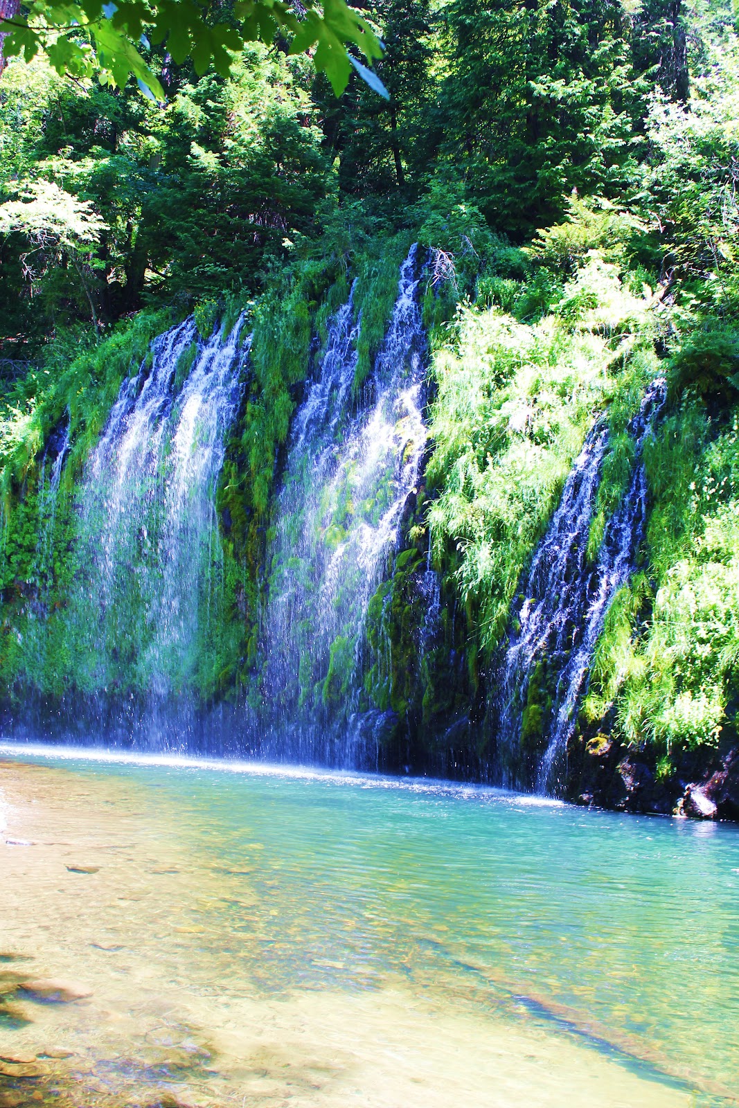 Just Focus Mossbrae Falls, Dunsmuir CA