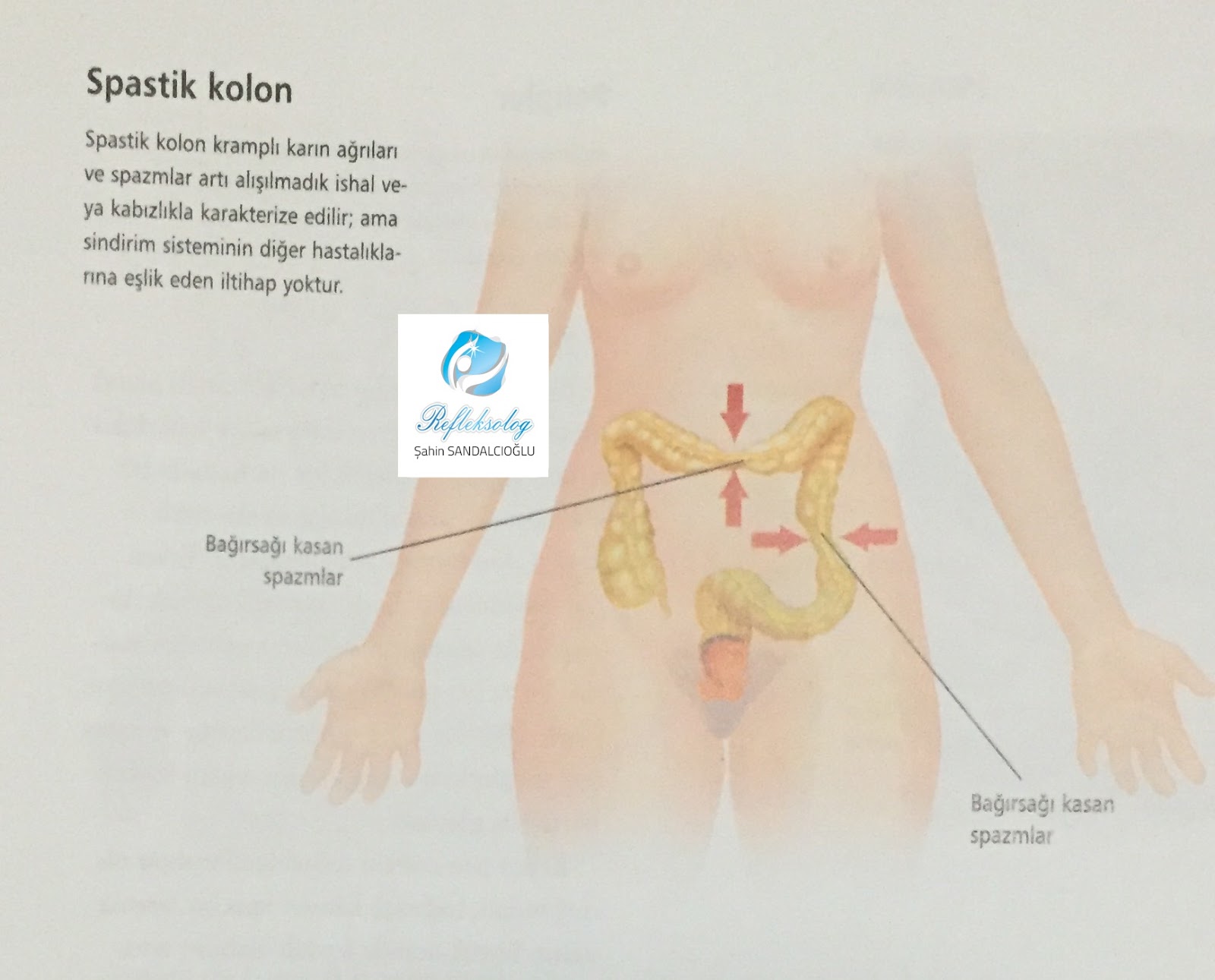PANTENE ALTIN KELEBEK ÖDÜLLERİ’NE GERİ SAYIM HEYECANI BAŞLADI PANTENE ALTIN KELEBEK ÖDÜLLERİ’NE GERİ SAYIM HEYECANI BAŞLADI