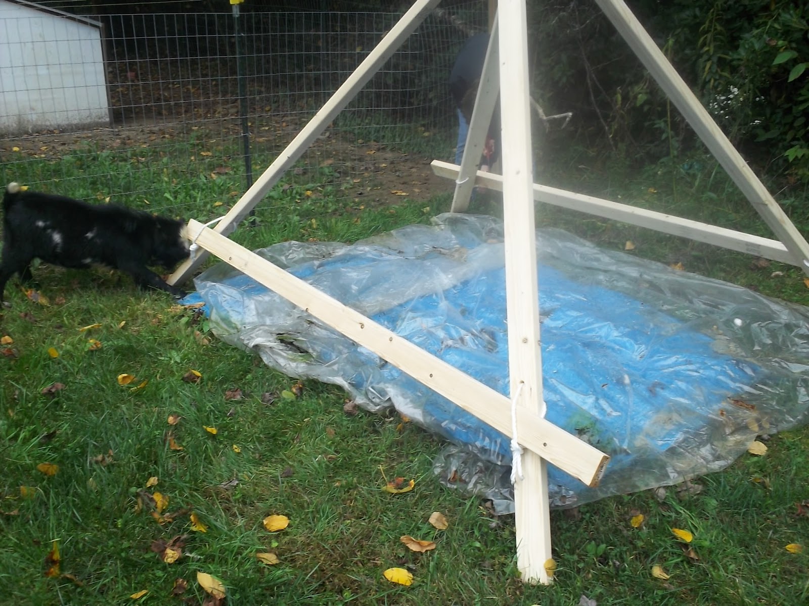 Homemade Hay Stack Temporary Hay Storage