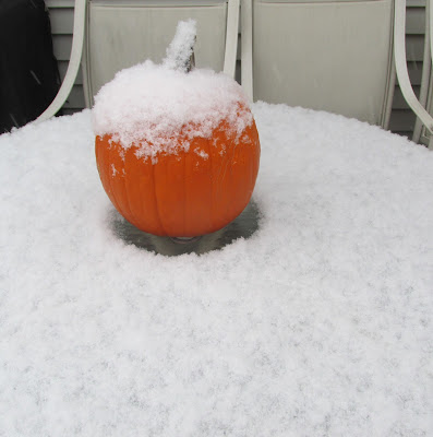 Snow on the pumpkin