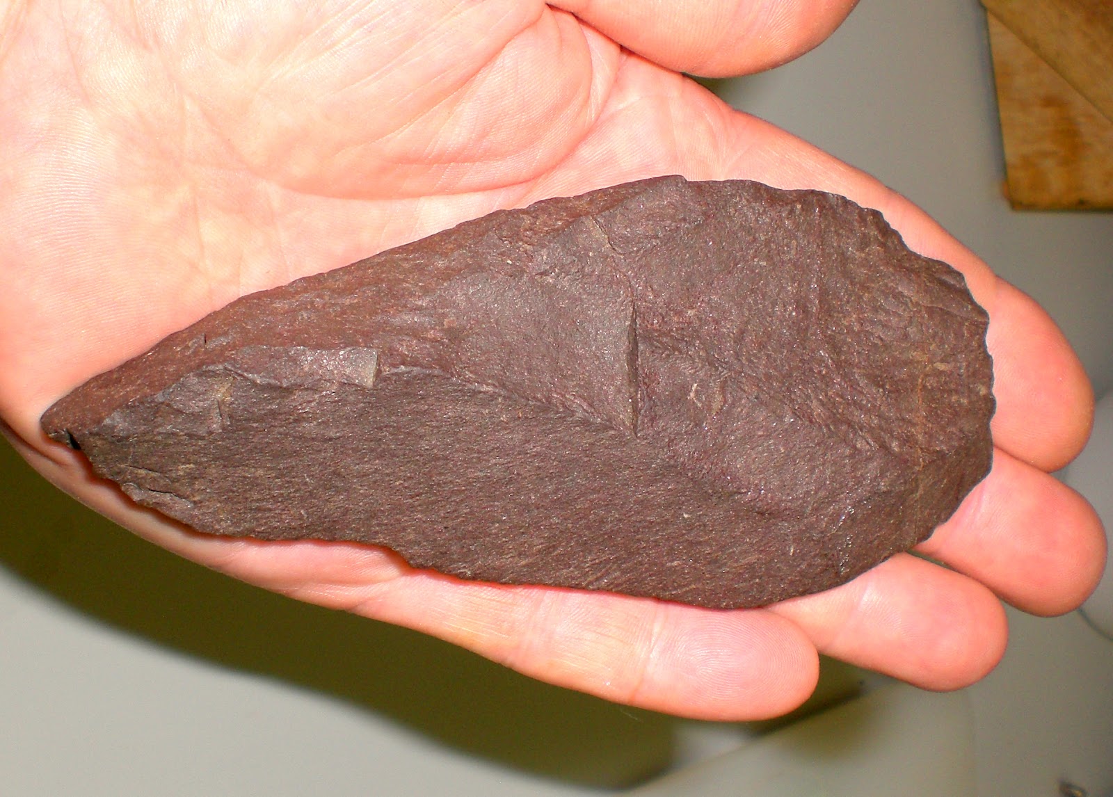 These Acheulean like Artifacts are form Washington State Oldest Dated Stone Tools in North