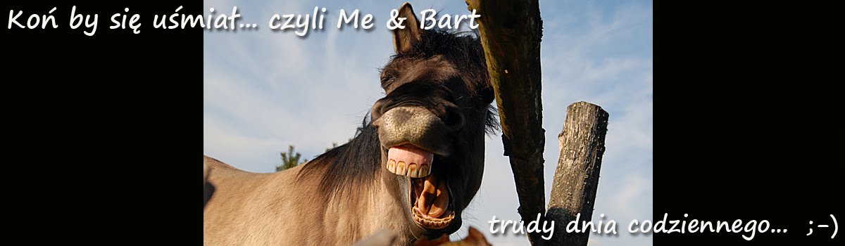 Koń by się uśmiał... czyli Me & Bart