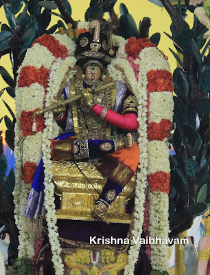 2015, Brahmotsavam, Narasimha Swamy, Parthasarathy Temple, Thiruvallikeni, Triplicane, Yoga Narasimhar, Punnai kilai