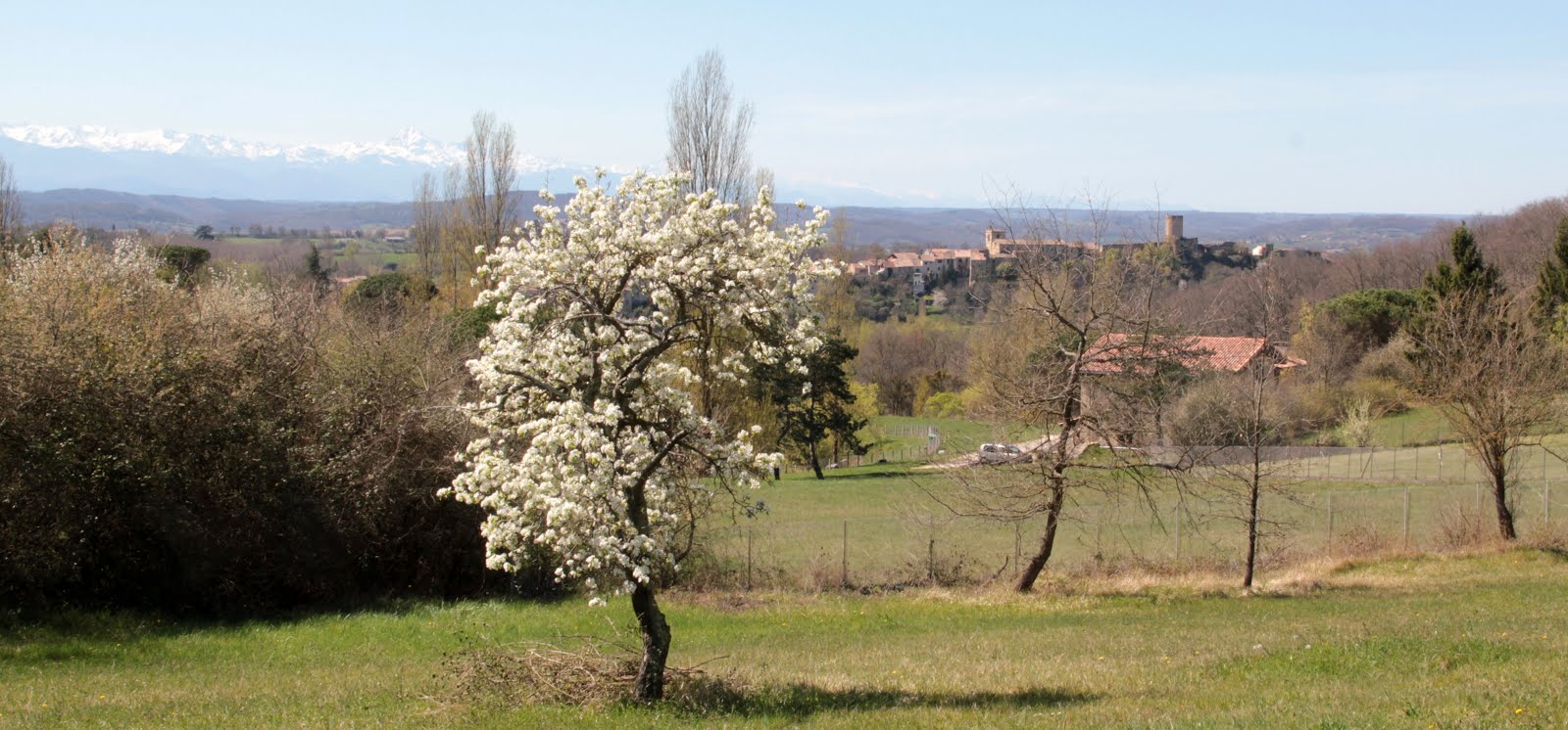 Notre vue sur le village et les Pyrénées...