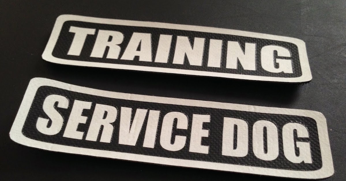 Living the life of Riley Service Patches