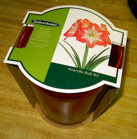 Plants & Such: Smith & Hawken: Amaryllis Bulb Kit