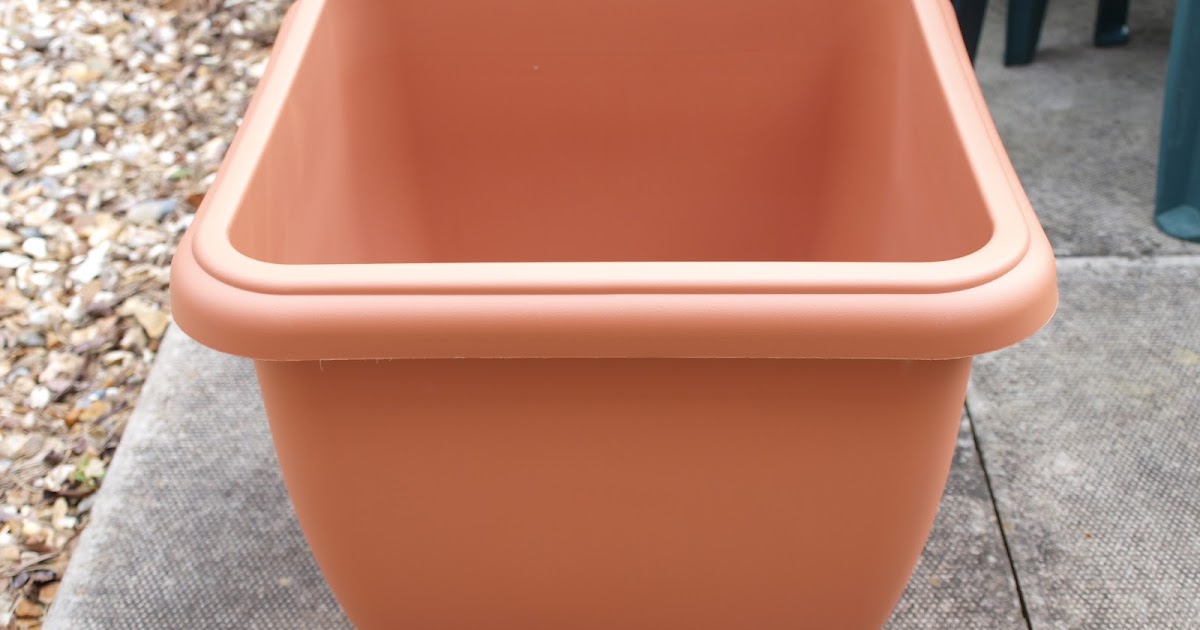 Mark's Veg Plot Tomato pots