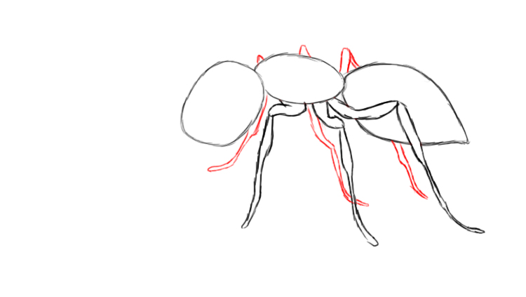 How To Draw An Ant - Draw Central
