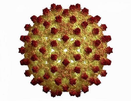 hepatitis a Hepatitis has a broad spectrum of presentations that range from a complete lack of symptoms to severe liver failure the acute form of hepatitis, generally caused by viral infection, is. hepatitis a Hepatitis has a broad spectrum of presentations that range from a complete lack of symptoms to severe liver failure the acute form of hepatitis, generally caused by viral infection, is.