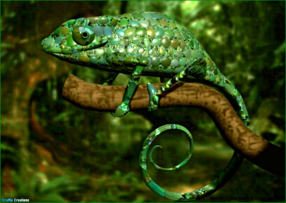 Reptiles Animals  Amazing Wallpapers Reptiles Animals  Amazing Wallpapers
