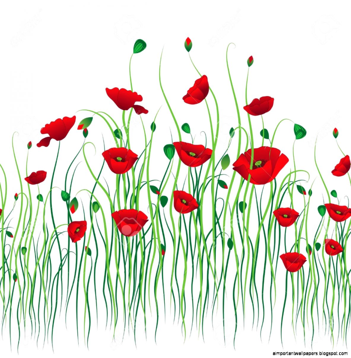 Poppy Seamless Background Flower Vector Art Border Pattern Poppy Seamless Background Flower Vector Art Border Pattern