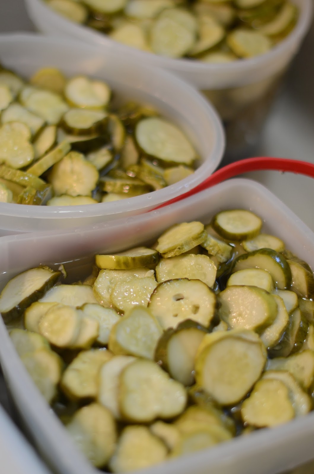 Gram's Refrigerator Pickles Five Crooked Halos