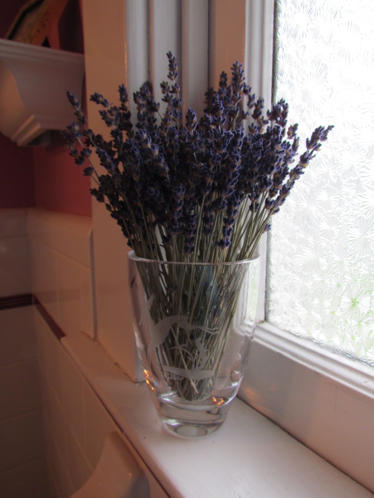 Thyme On My Hands Loving Lavender!