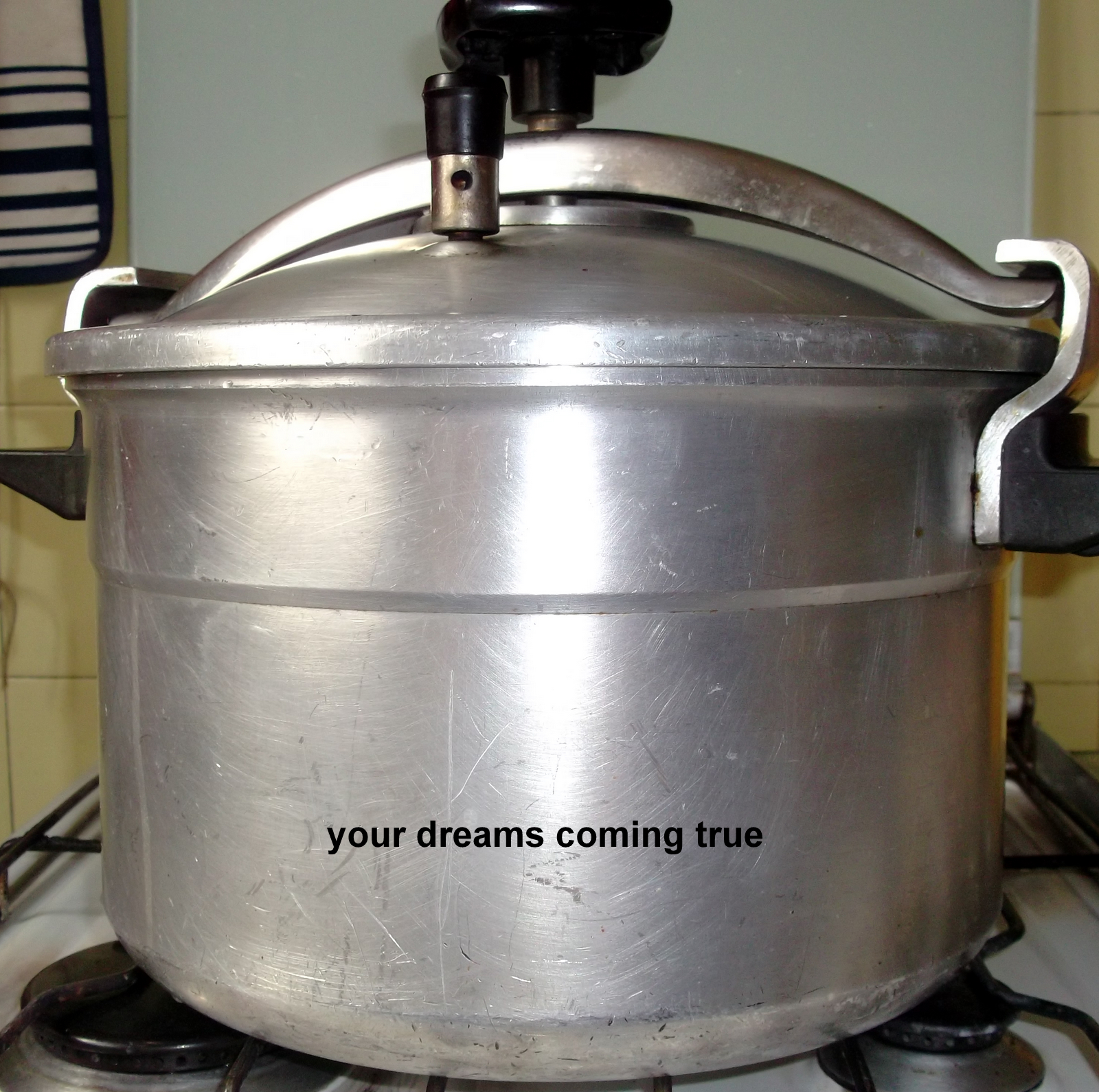 Your Dreams Coming True In The Kitchen The Pressure Cooker...Based On
