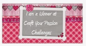 9 December 2015 & 10 February 2016, Challenges 290 & 297