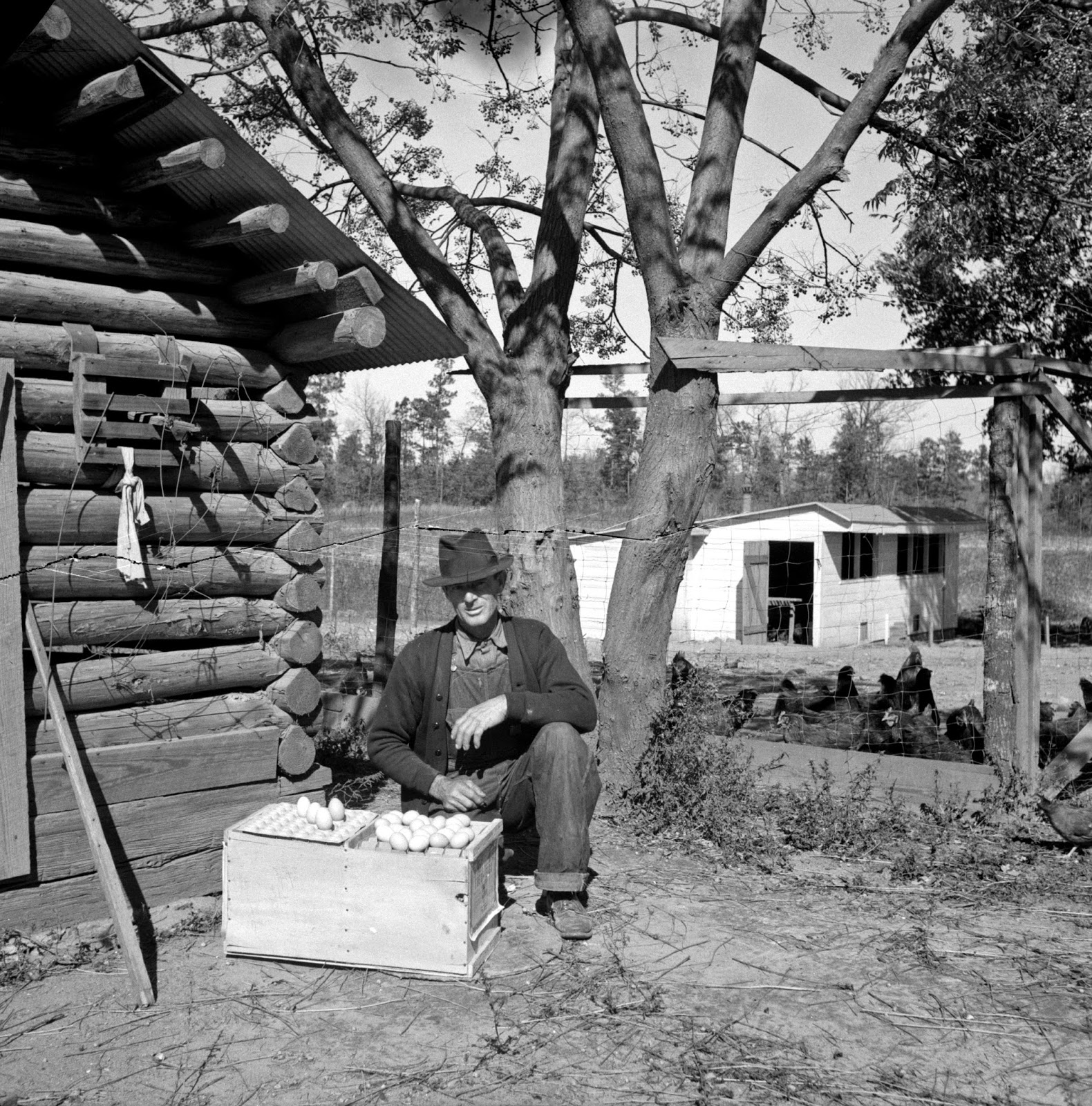 pine mountain valley personals While much farming in the pine mountain valley was on the sides of the in some of the personal narratives captured in letters, documents. pine mountain valley personals While much farming in the pine mountain valley was on the sides of the in some of the personal narratives captured in letters, documents.