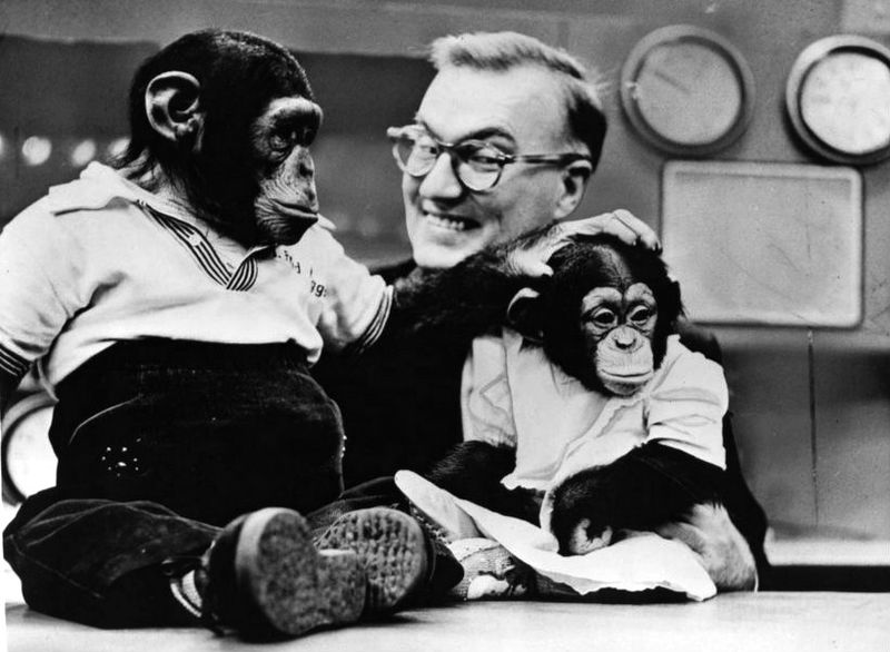 My Pretty Baby Cried She Was a Bird J. Fred Muggs (Today Show Mascot, 19531957)