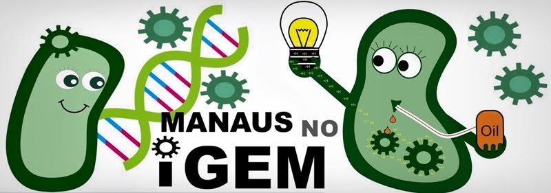 Manaus no iGEM